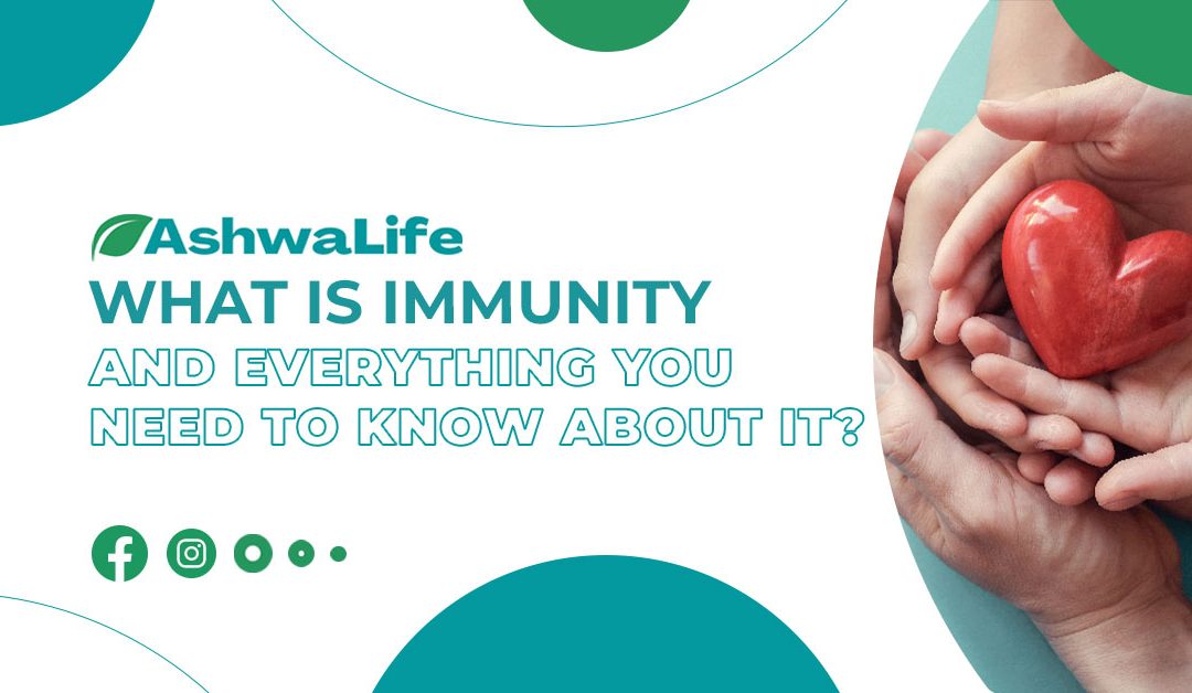 What is Immunity and Everything You Need to Know About it?