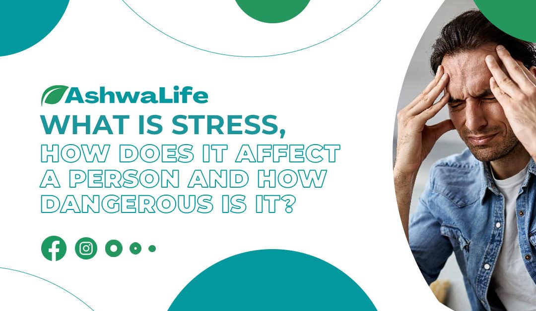 What is Stress, How Does it Affect a Person and How Dangerous is it?