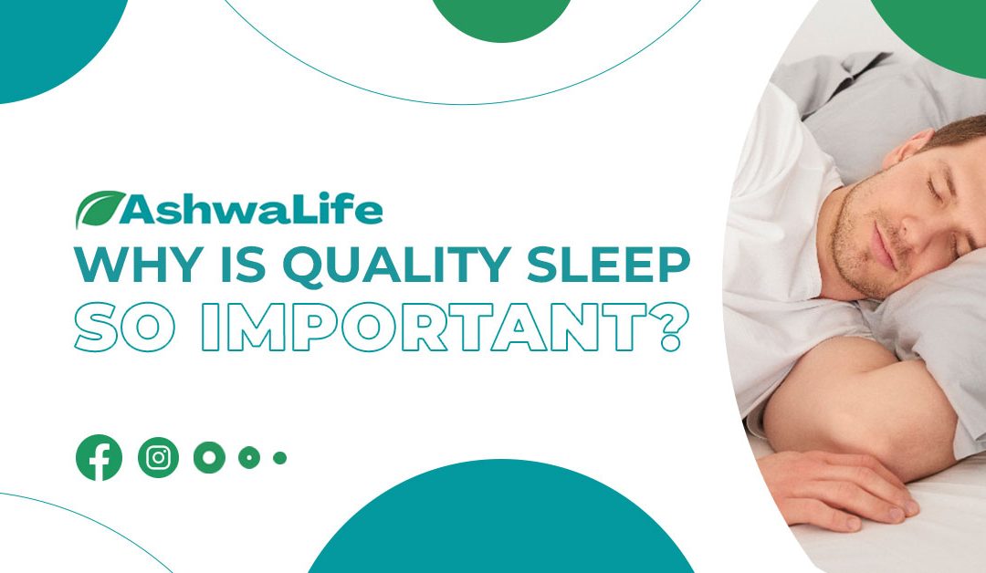 Why is Quality Sleep so Important?